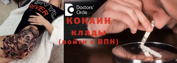 сатива Ладушкин