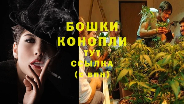 метадон Лагань