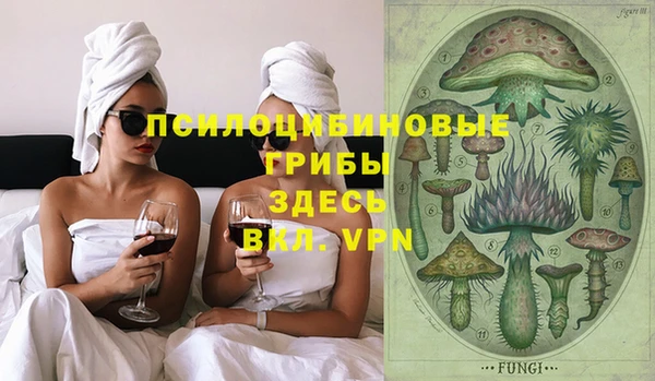 метадон Лагань